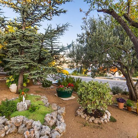 Apartment Mande 브리스트 외부 사진